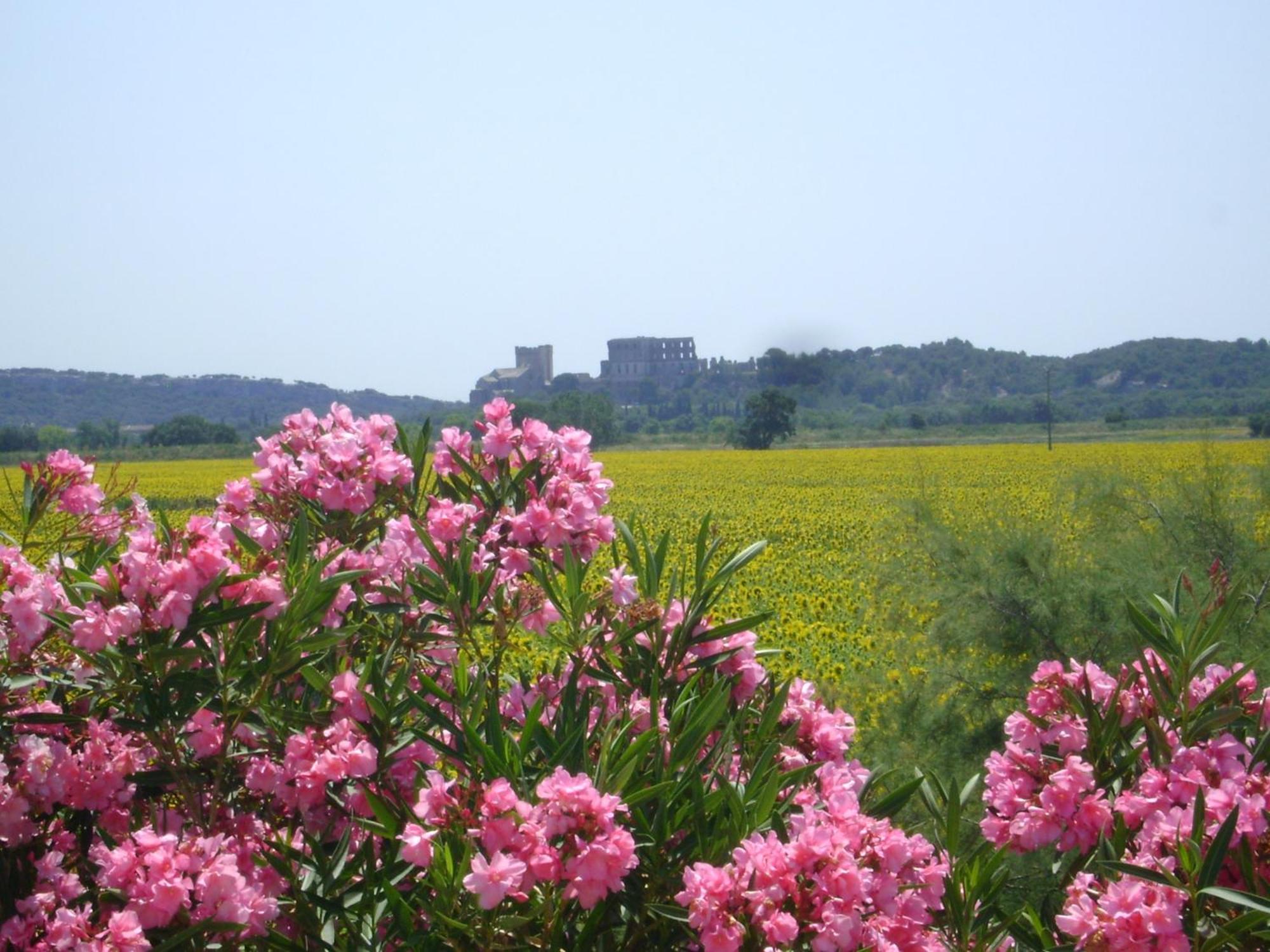 Logis Des Granges Hotel